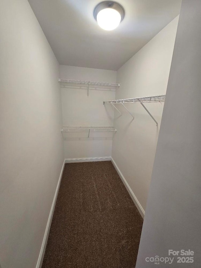 spacious closet with carpet
