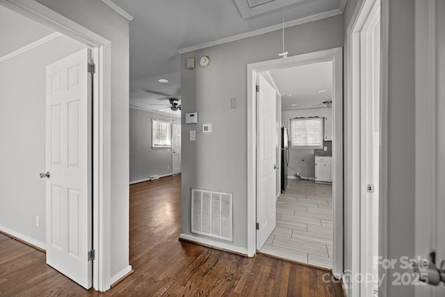 hallway featuring dark wood-style floors, visible vents, attic access, ornamental molding, and plenty of natural light