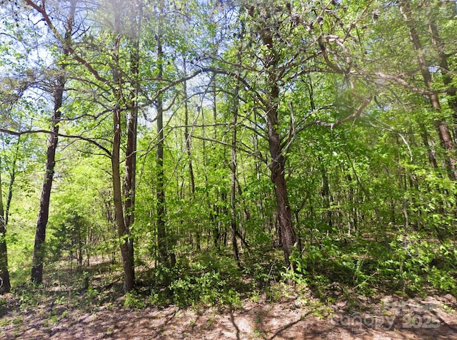 LOT158 Rolling Rd, Lincolnton NC, 28092 land for sale