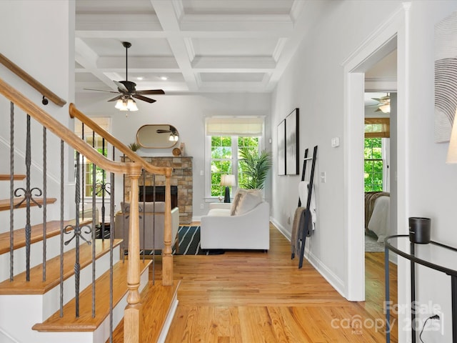 entrance foyer featuring a ceiling fan, plenty of natural light, and wood finished floors
