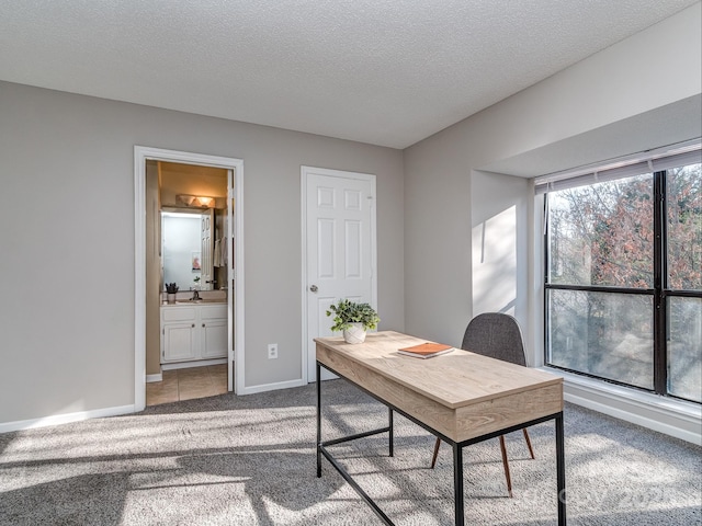 office area featuring a textured ceiling, a sink, carpet flooring, and baseboards