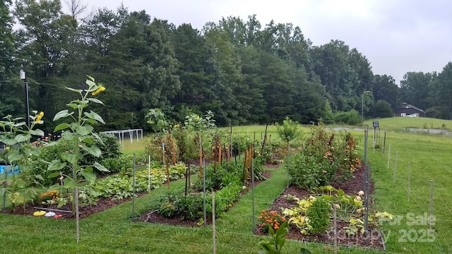 view of yard featuring a vegetable garden and a view of trees