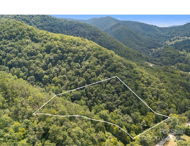 bird's eye view with a view of trees and a mountain view