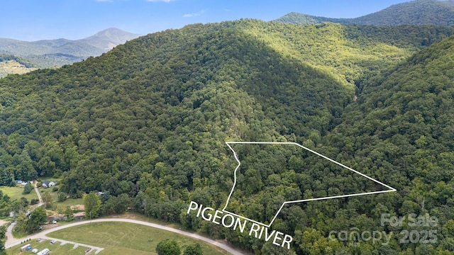 birds eye view of property featuring a mountain view and a wooded view