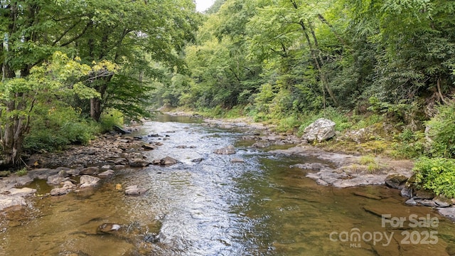 property view of water with a wooded view