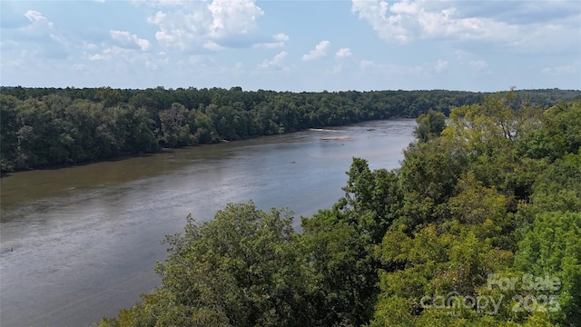 water view featuring a view of trees