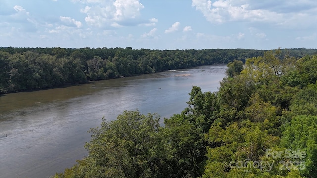 14309 Stonewater Ct, Fort Mill, SC 29707 - photo 38