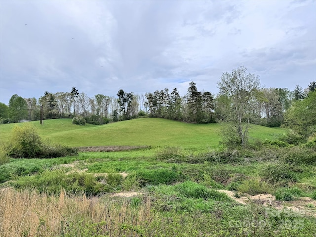 38 Flourish Farm Ln, Asheville, NC 28806 - photo 2