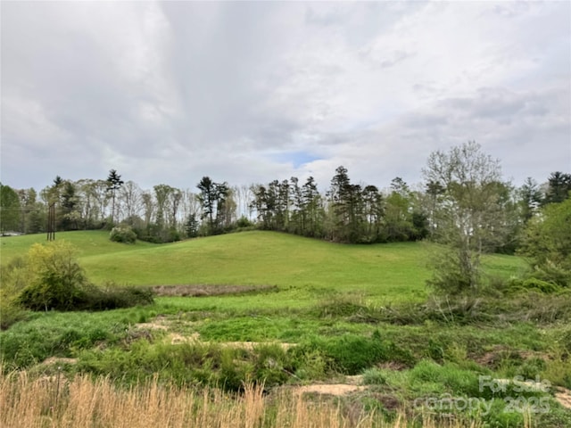 38 Flourish Farm Ln, Asheville, NC 28806 - photo 6