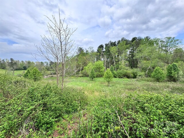 38 Flourish Farm Ln, Asheville, NC 28806 - photo 8