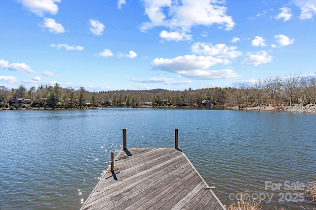 dock area with a water view