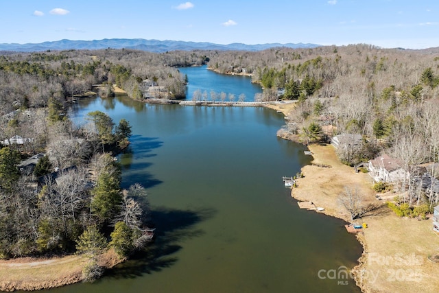 bird's eye view featuring a forest view and a water and mountain view