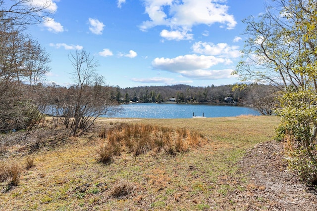 water view featuring a wooded view