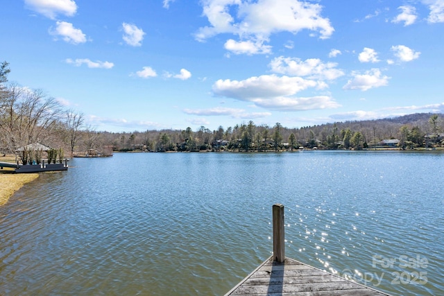 view of dock featuring a water view