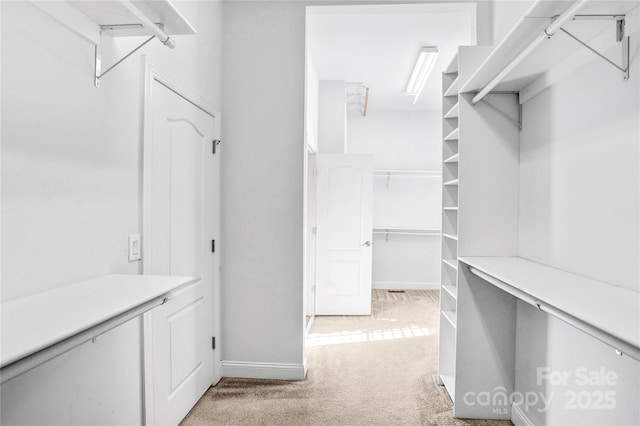 walk in closet featuring light colored carpet