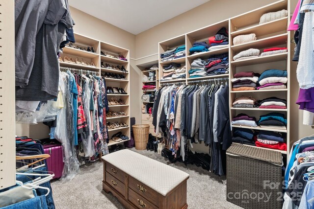 spacious closet featuring carpet flooring