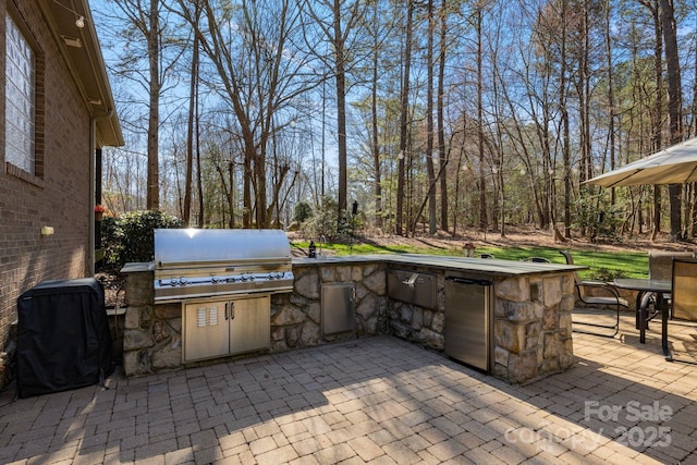 view of patio / terrace with area for grilling and an outdoor kitchen