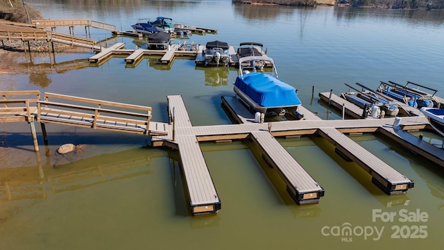 dock area with a water view