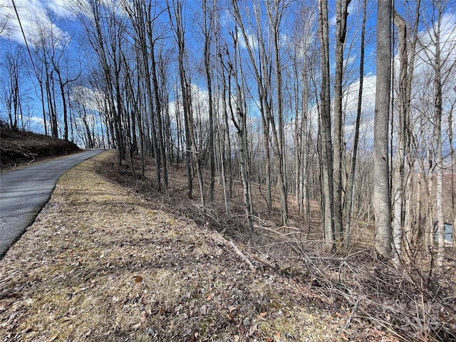 Listing photo 3 for 00 Old Country Rd, Waynesville NC 28786