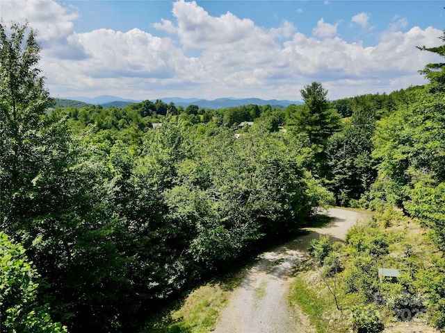 birds eye view of property featuring a mountain view and a wooded view