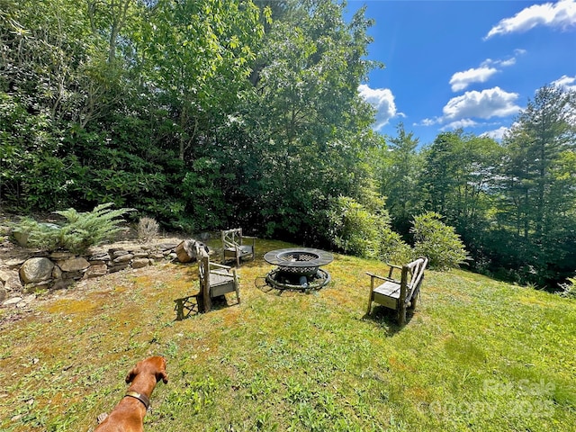 view of yard with an outdoor fire pit