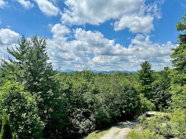 view of nature with a view of trees