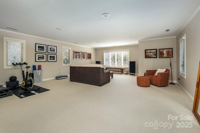 205 Midland Dr, Asheville, NC 28804 - carpeted living room with baseboards, visible vents, and ornamental molding