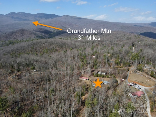 aerial view featuring a wooded view and a mountain view