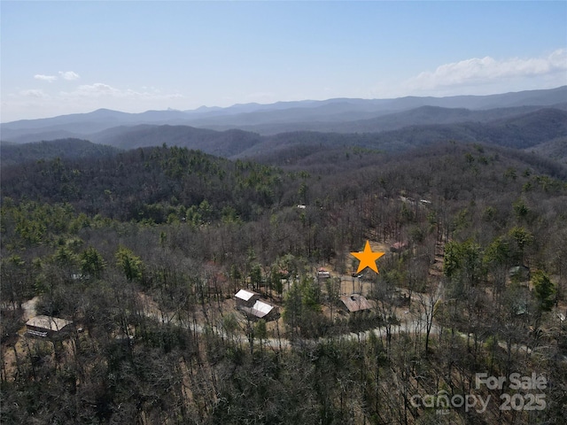 view of mountain feature featuring a view of trees