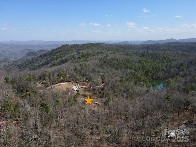 bird's eye view featuring a mountain view and a wooded view