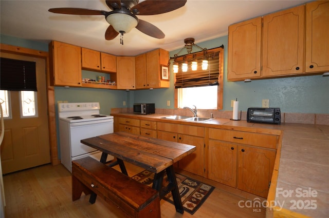 kitchen with light wood finished floors, open shelves, white electric range, stainless steel microwave, and a sink