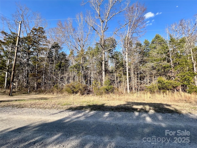 03 Pineview Court Ln Unit 59, Lancaster SC, 29720 land for sale