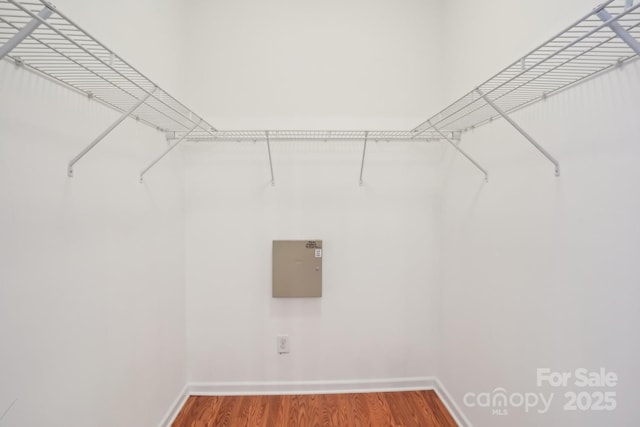 walk in closet featuring wood finished floors