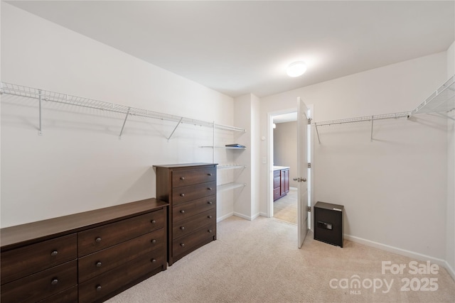 spacious closet with light carpet