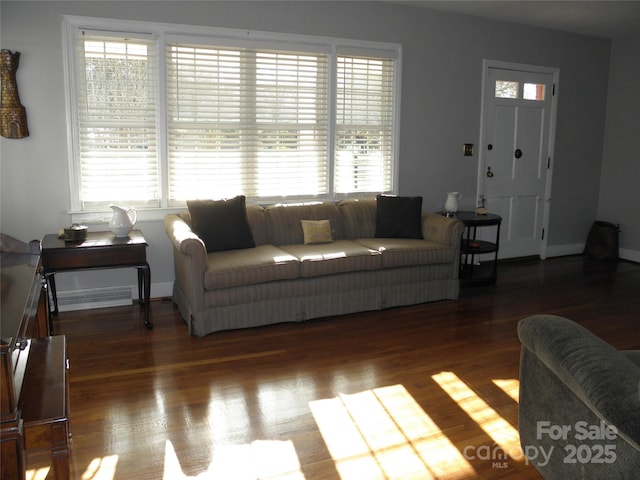 living room with wood finished floors, a wealth of natural light, and baseboards