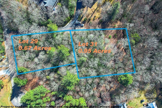 Listing photo 3 for LOT29 Brave Hawk, Blowing Rock NC 28605