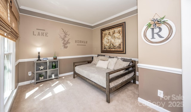 living area featuring crown molding, baseboards, and carpet floors