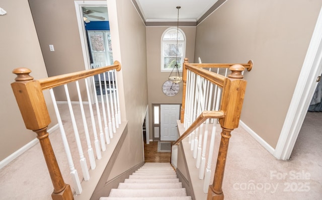 staircase with baseboards, carpet floors, and ornamental molding