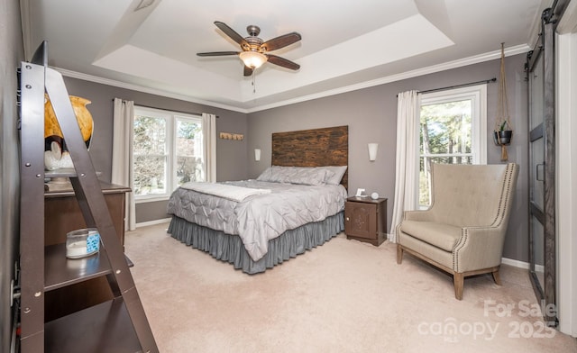 bedroom featuring crown molding, baseboards, carpet, a barn door, and a raised ceiling