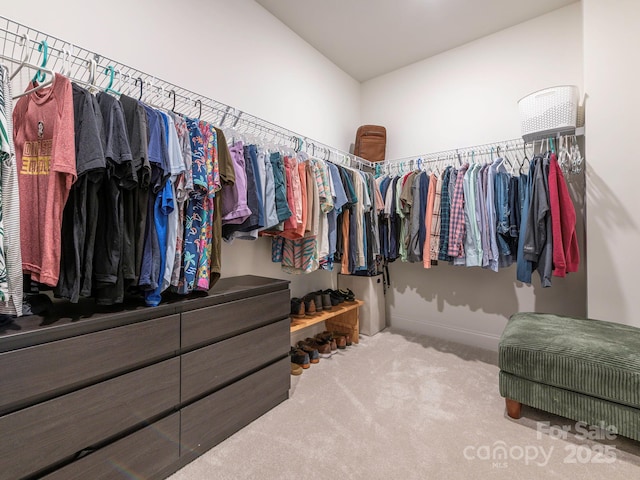 walk in closet with carpet flooring