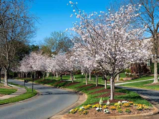 view of road featuring sidewalks and curbs