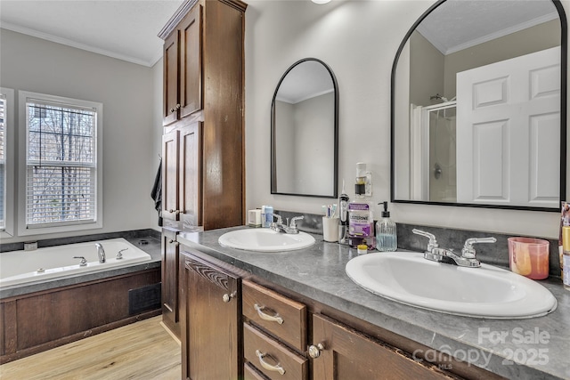 bathroom featuring a garden tub, crown molding, and a sink