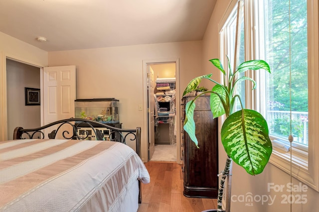 97 Ballantree Dr, Asheville, NC 28803 - bedroom featuring light wood-style flooring and a spacious closet