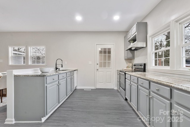 kitchen featuring gray cabinetry, a sink, stainless steel electric range, dark wood-style floors, and plenty of natural light