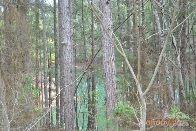 view of landscape featuring a wooded view