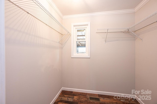 walk in closet featuring visible vents and dark wood-style flooring