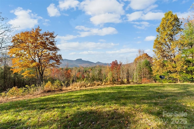 view of mountain feature with a view of trees