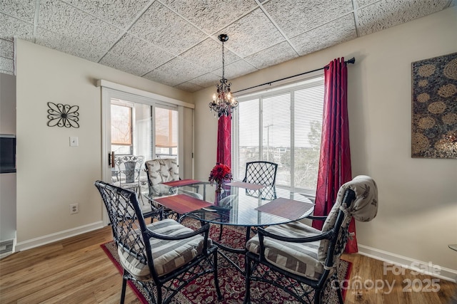 dining room with plenty of natural light, wood finished floors, baseboards, and a paneled ceiling