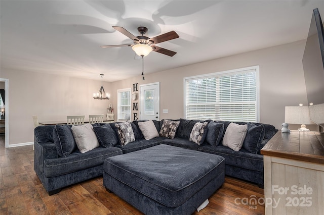 living room featuring dark wood finished floors, ceiling fan with notable chandelier, baseboards, and a wealth of natural light