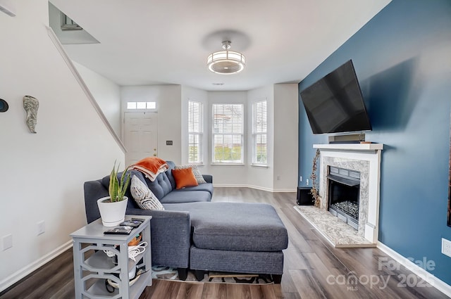 living area featuring wood finished floors, baseboards, and a premium fireplace